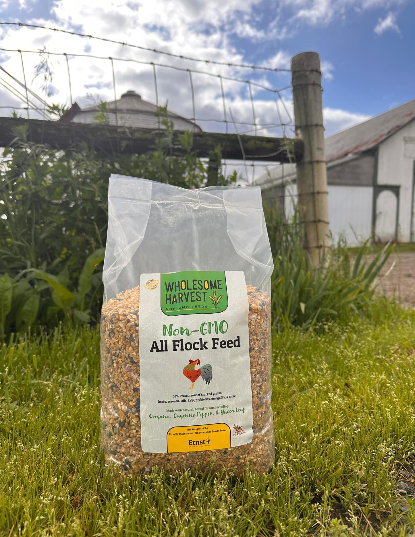 Wholesome Harvest All Flock Feed, High Nutrition for Flocks, Non-GMO Duck, Turkey, Geese and Chicken, Whole Grain 10 lbs Pack