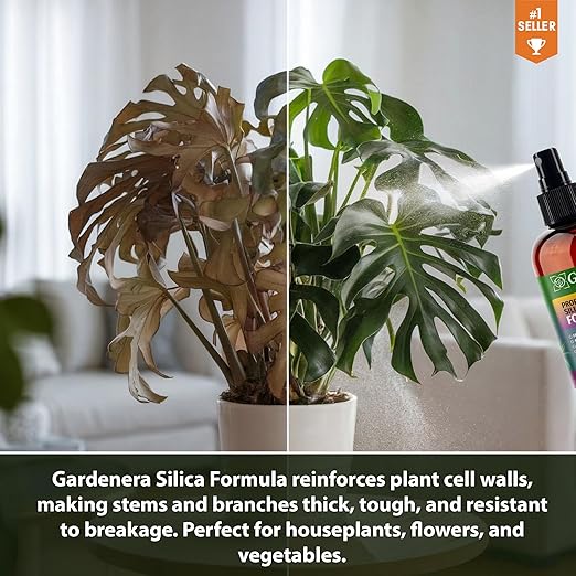 𝐏𝐑𝐎𝐅𝐄𝐒𝐒𝐈𝐎𝐍𝐀𝐋 Liquid Silica Plant Supplement - 32oz - Raspberry Plants Liquid Silica Boost Fertilizer - Stronger Stems & Healthy Leaves for Indoor & Outdoor Raspberry (Makes 180 Gallons)