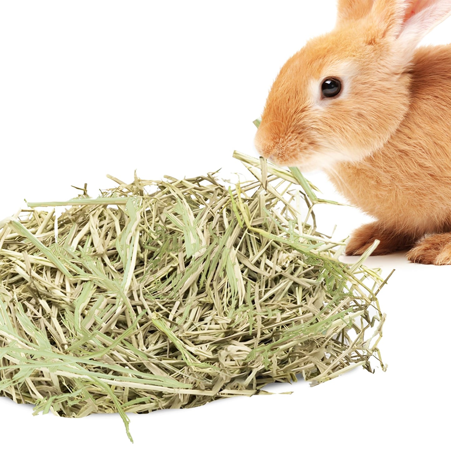 SunGrow Timothy Food, Ideal for Rabbits, Guinea Pigs, and Chinchillas, High-Fiber Hay for Digestion & Oral Care, Tasty Complement to Pets' Daily Meals, Vacuum-Sealed, Greenish Brown Grass, 3.5 oz