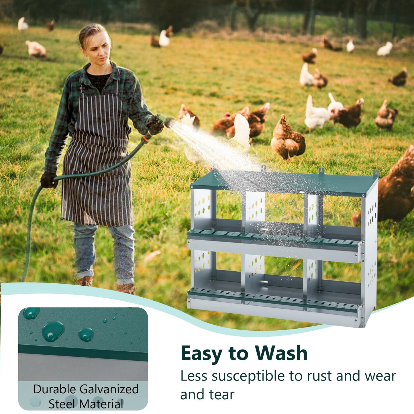 Chicken Nesting Box, 6 Compartments Chicken Nesting Box for Laying Eggs, Roll Away Chicken Laying Boxes, 33.07" L x 16.92" W x 25.59" H, Green