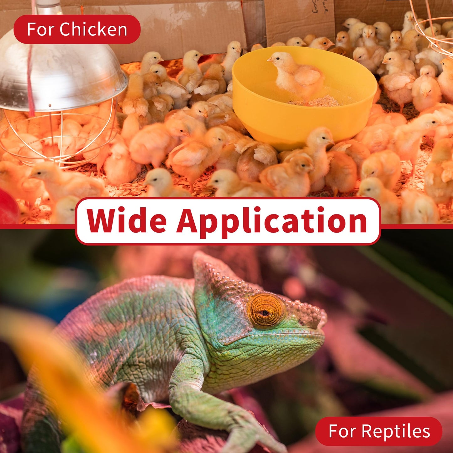 Jugbuy 250 Watt Red Heat Lamp Bulbs, Chicken Infrared Incandescent Light Bulb, Brooder Heat Lamps for Chickens, Chicks, Reptile, Pets, Coop, Poultry, Food, Bathroom, Ceiling, E26 Base - 2 Pack