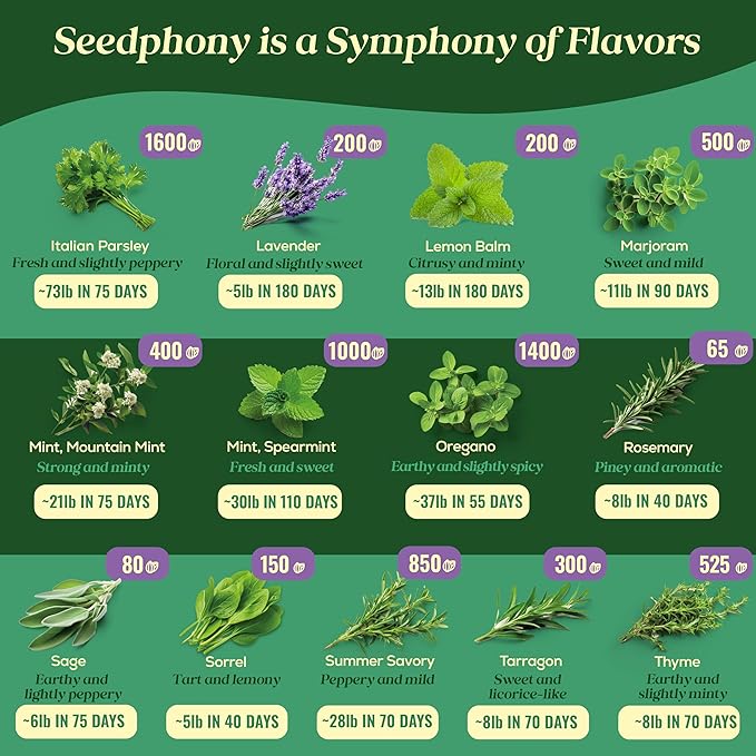 25 Culinary Herb Seeds Variety Pack - 13,055+ Non-GMO Heirloom Herbs Seeds for Planting Indoor & Outdoor: Rosemary, Basil, Catnip, Cilantro, Dill, Parsley, Oregano, Thyme, Mint, Tarragon, Lavender