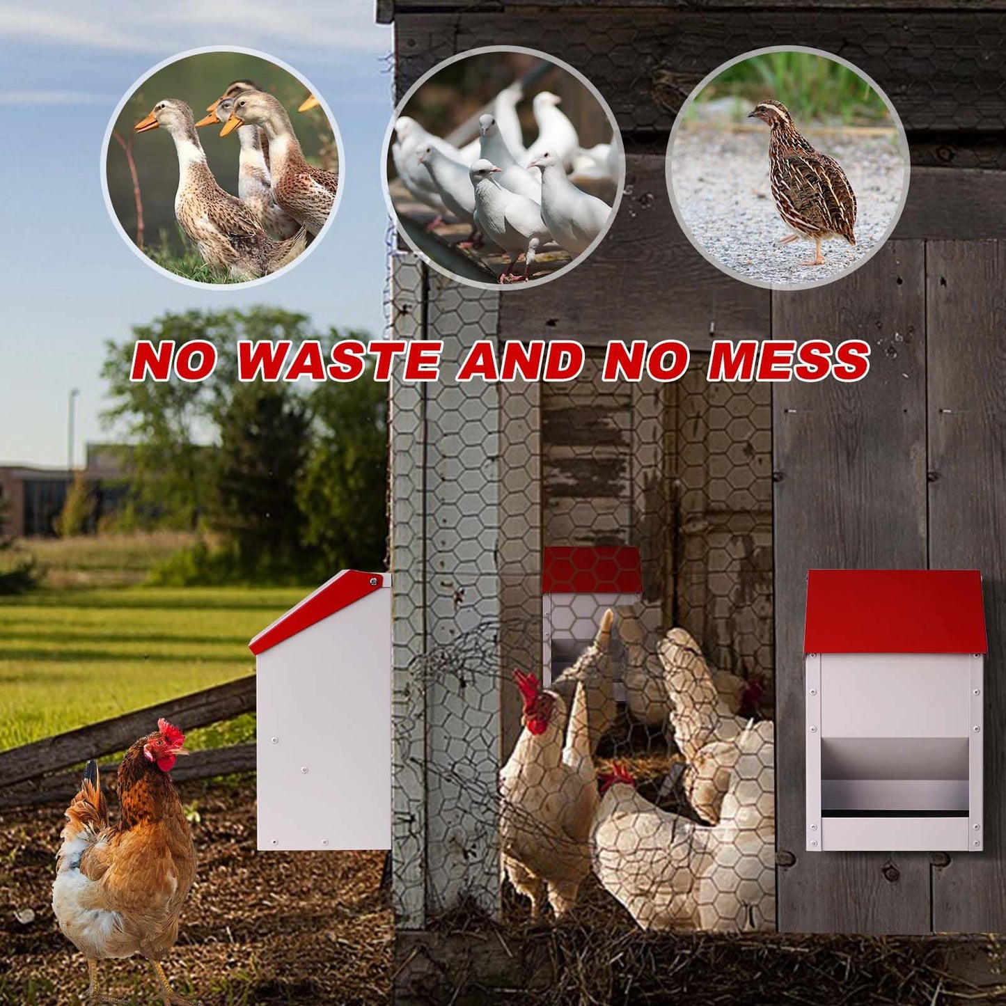 ZHEQOGZH Automatic Metal Chicken Feeder Galvanized Poultry Feeder with Lid Outdoor Wall Mount Chicken Food Dispenser Gravity Fed Chicken Feeder Weatherproof No Waste Quail Duck Feeder (10LBS)