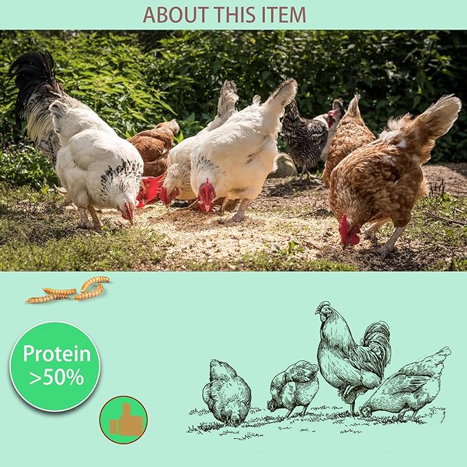 Dried Mealworms 9LB-High Protein Chicken Feed,More Protein,No Additives,Premium Organic Non-GMO,Rich in Protein Meal Worms for Chickens,Wild Birds,Laying Hens,Turkeys-Nutrient-Rich Mealworms