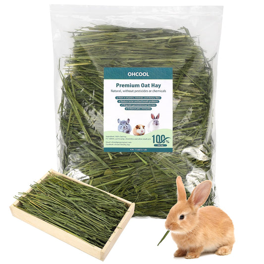 Ohcool Premium Oat Hay for Pets - Dust Free Natural Green Fresh Pet Food Hay for Rabbits, Guinea Pigs, Chinchillas, Hamsters & Gerbils - 1.1lbs