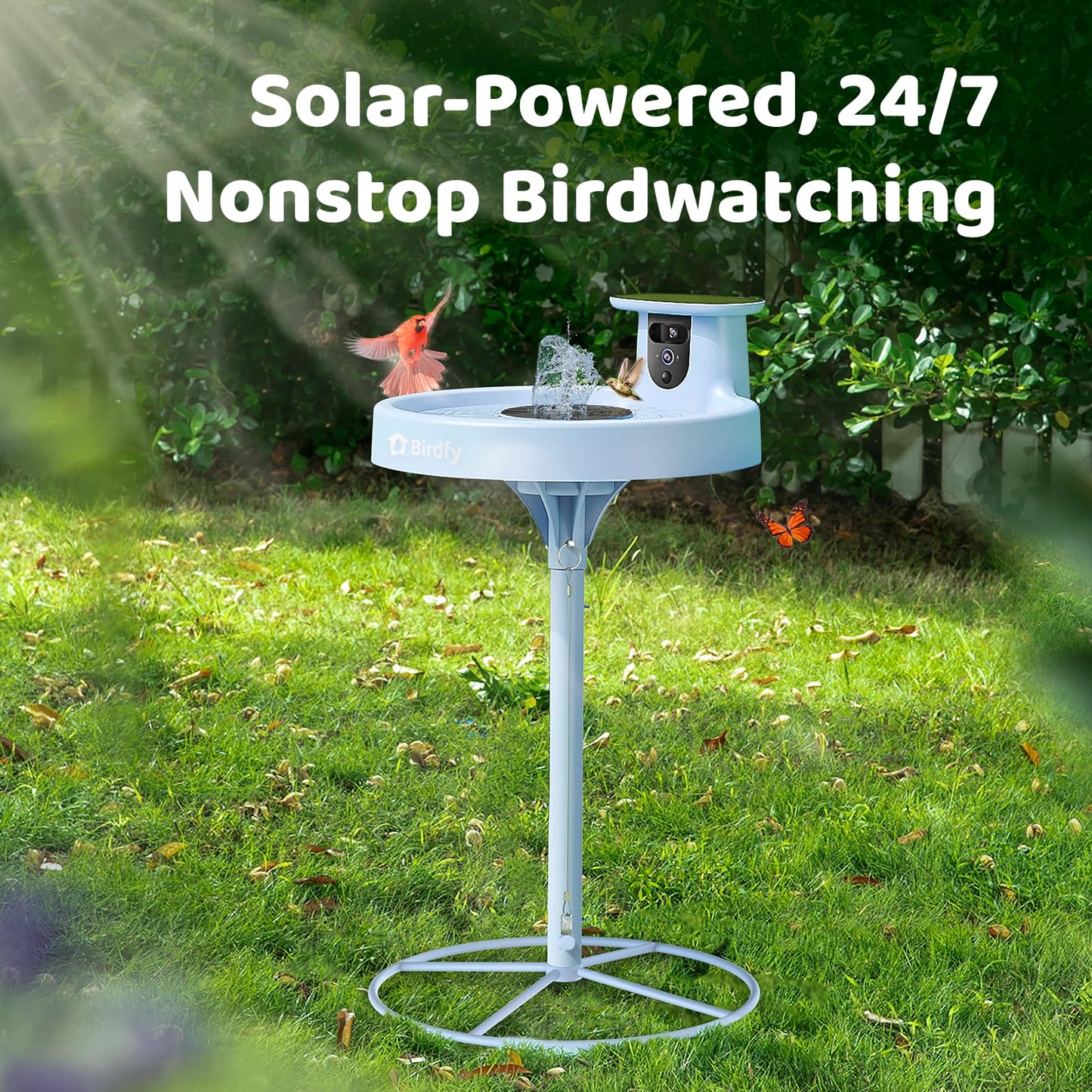 Birdfy Smart Bird Bath with Camera Solar Powered & Fountain & Stand, Dual-Lens Camera for Wildbird Watching, Auto Capture Bird Videos & Motion Detection (AI Lifetime)