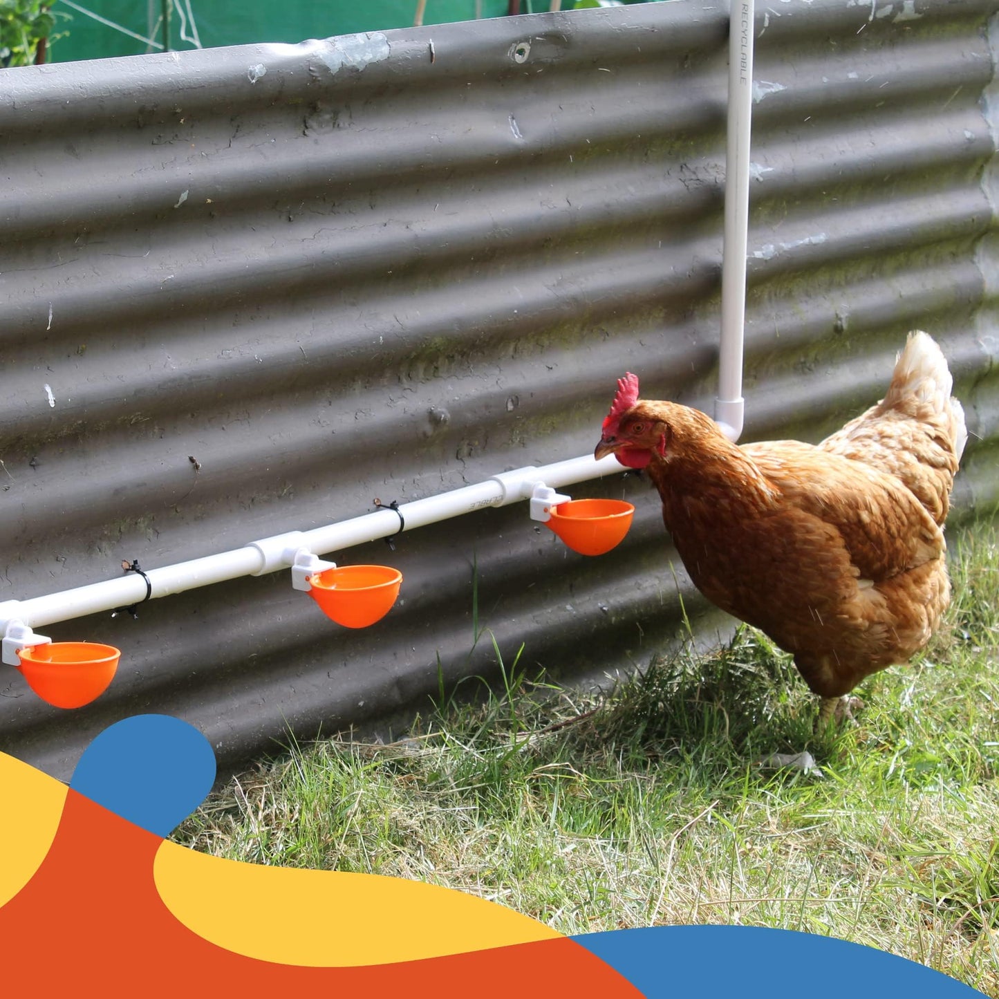Lil'Clucker Large Automatic Chicken Waterer Cups with 1/2" PVC Tee Fittings - Chicken Water Cups, Chicken Water Feeder, for Chicks, Duck, Goose, Turkey - Poultry Waterer Feeder Kit (Orange, 5-Pack)
