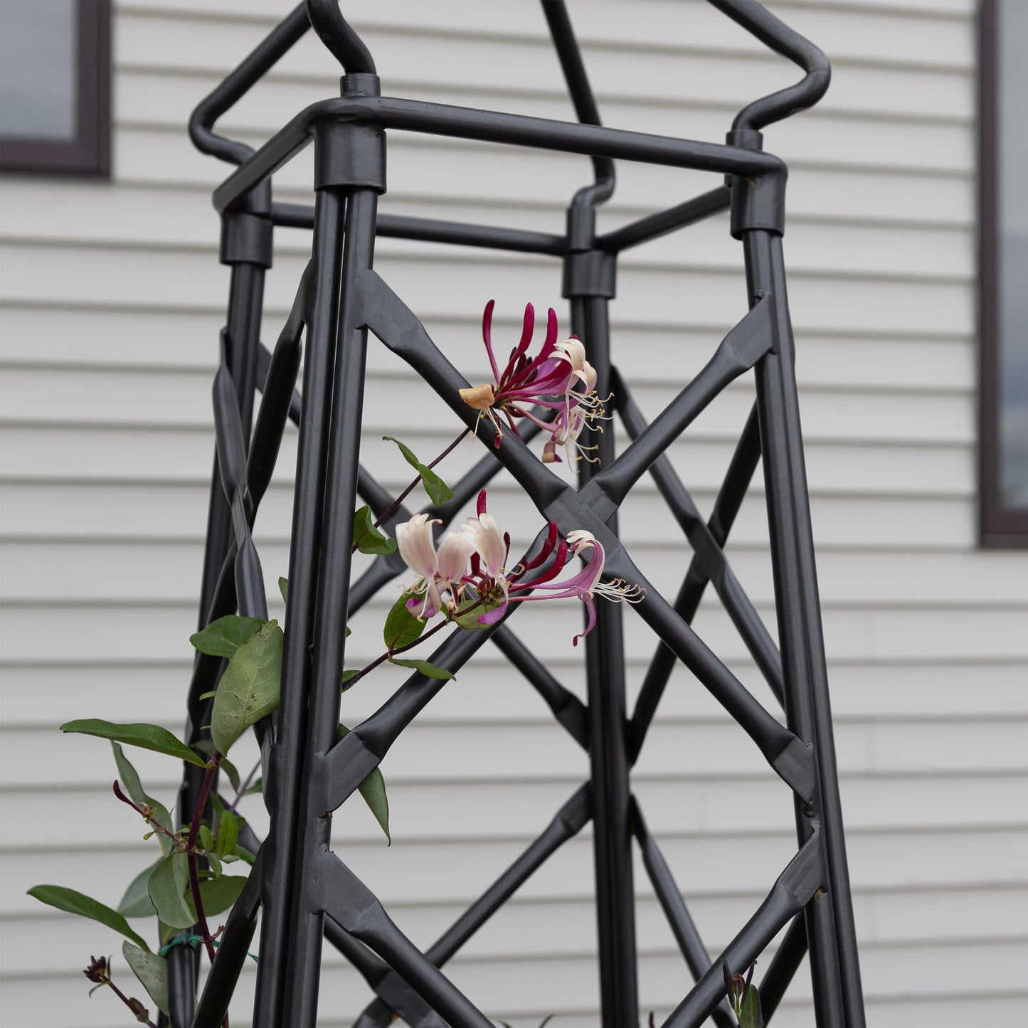 Lattice Obelisk