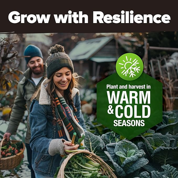 HOME GROWN 𝗨𝗦𝗔 𝗣𝗥𝗘𝗠𝗜𝗨𝗠 25 Heirloom Vegetable Seeds Kit - 14,200+ NON-GMO Seeds for Planting Vegetables, Survival Garden Seed Vault, Tomatoes Carrots Beans Kale Peppers, Indoor Outdoor Garden