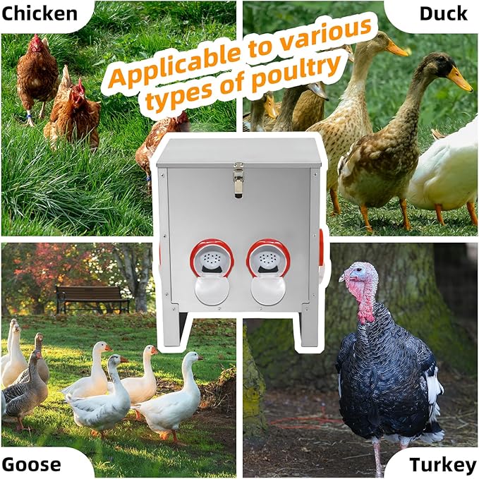 Automatic Poultry Chicken Feeder No Waste Metal Large Capacity 30 lbs Feeders for Chickens Ducks, Geese Bantams Pheasants Coop Weatherproof (4-Port)