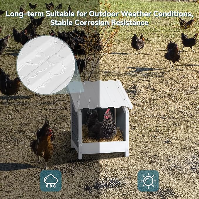 PETSFIT 1 Hole Chicken Nesting Box-All Weather PVC Roof, Natural Wood Design with Privacy Back Panel for Hens-Wall Mounted or Floor Use in Coops, Farms, Backyards,Easy to Assemble and Clean