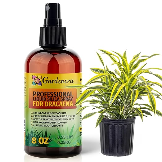 𝐒𝐔𝐏𝐄𝐑𝐈𝐎𝐑 Liquid Silica Boost Fertilizer and Supplement Spray for Dracaena Plants – Pre-Mixed, Ready-to-Use Liquid Silicon Plant Superfood Mist for Indoor & Outdoor Plants – 8oz
