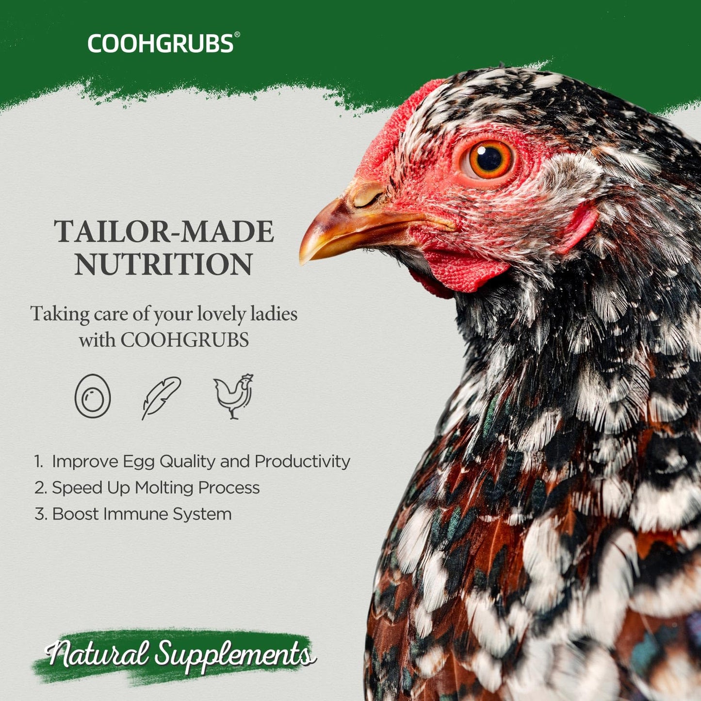 COOHGRUBS Dried Mealworms for Birds, Non-GMO High Protein Chicken Treats & Poultry Feed, 2 lb Bag