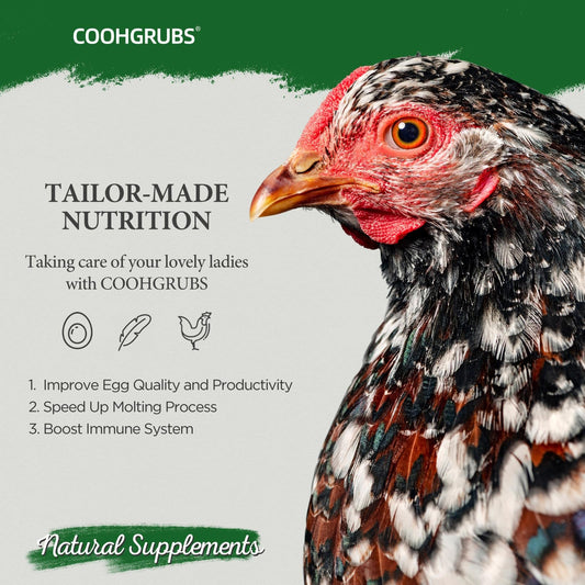 COOHGRUBS Dried Mealworms for Birds, Non-GMO High Protein Chicken Treats & Poultry Feed, 2 lb Bag