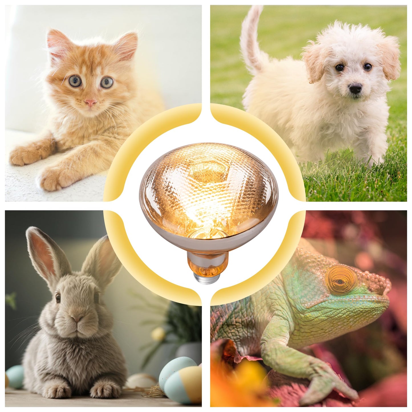 Wesome Lighting 4 Pack 250 Watts Heat Lamp Bulbs for Chickens,PAR38 Clear Glass Brooder Heat Lamp, Infrared Reflector Heat Bulbs for Pets, Bathroom, Food Service