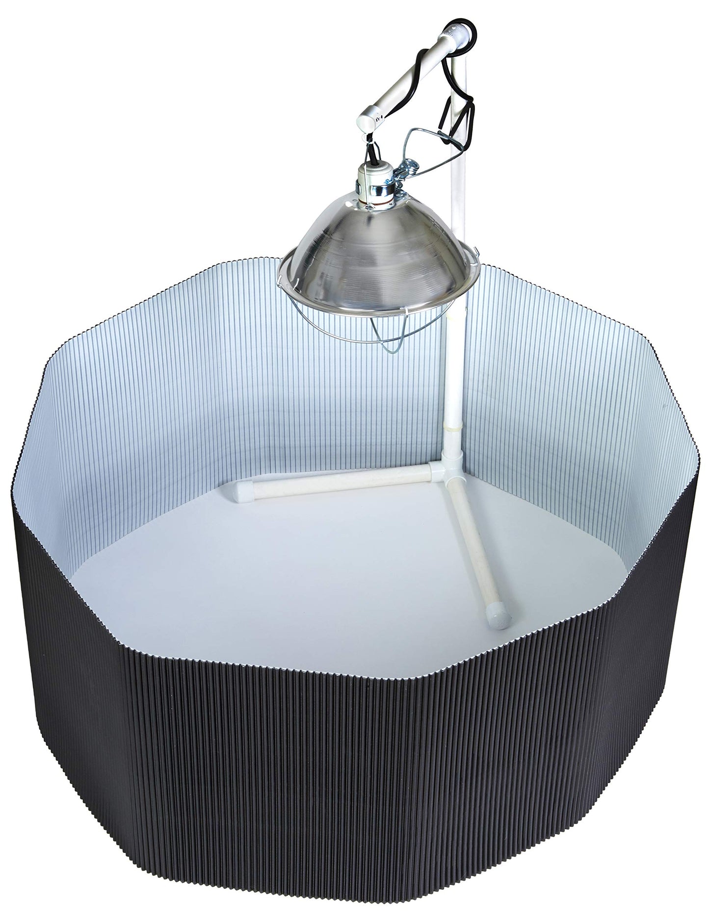 Little Giant® Chick Brooder Kit | Complete Kit for Raising and Brooding Chicks | Poultry Brooder Box | Chicken Brooder Box