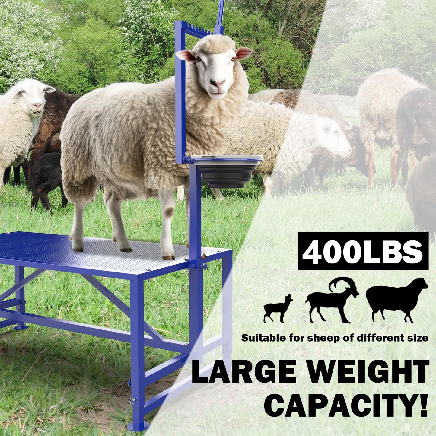 Larrik Goat Milking Stand with Feeder, Goat Stand for Trimming Hooves, with Adjustable Head Piece and Legs, Metal Blue Use for Livestock，400 Lbs for Small Sheep and Goat