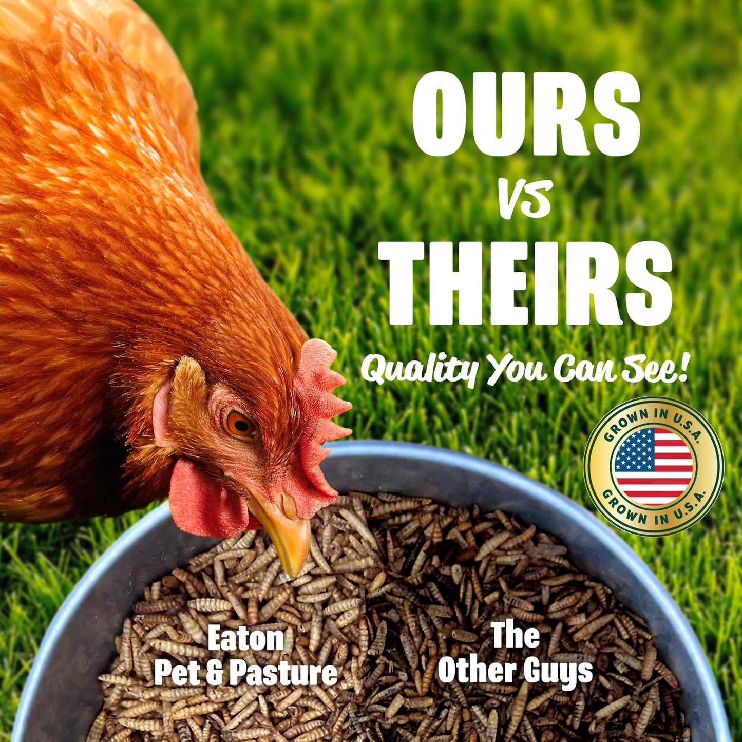 Eaton Pet and Pasture Premium Grubs, USA Grown Dried Black Soldier Fly Larvae, High Calcium Treat for Chickens, Ducks, Wild Birds (1 LB)