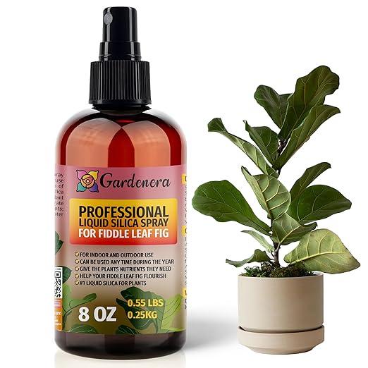 𝐒𝐔𝐏𝐄𝐑𝐈𝐎𝐑 Liquid Silica Boost Fertilizer and Supplement Spray for Fiddle Leaf FIG Plants – Pre-Mixed, Ready-to-Use Liquid Silicon Plant Superfood Mist for Indoor & Outdoor Plants – 8oz