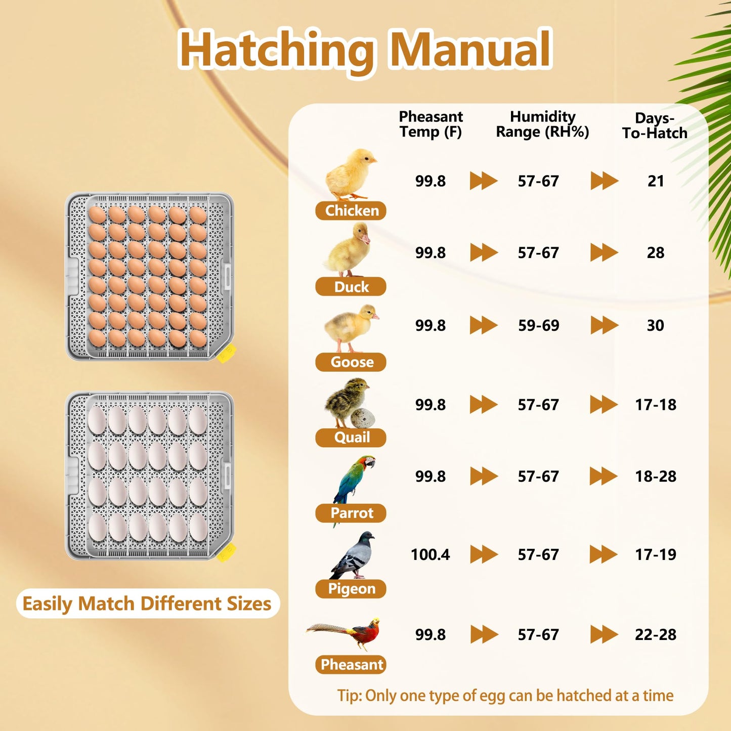 New Egg Incubator with Automatic Egg Turning and Humidity Control and Alarm, Incubators for Hatching Eggs at Home(Chicken, Goose, Bird, etc), with Display and 360° View, Backyard, Farm (Black-48 Eggs)