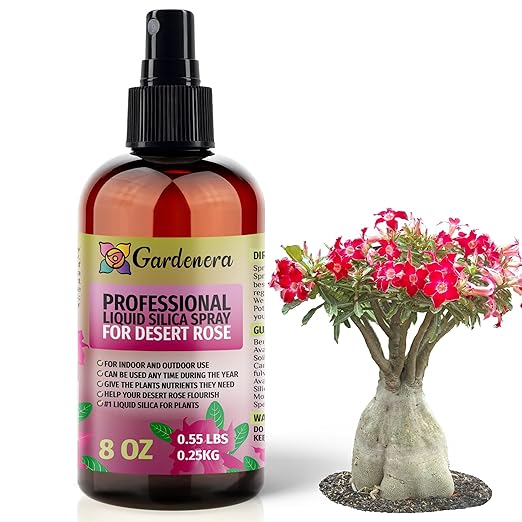 𝐒𝐔𝐏𝐄𝐑𝐈𝐎𝐑 Liquid Silica Boost Fertilizer and Supplement Spray for Desert Rose Plants – Pre-Mixed, Ready-to-Use Liquid Silicon Plant Superfood Mist for Indoor & Outdoor Plants – 8oz