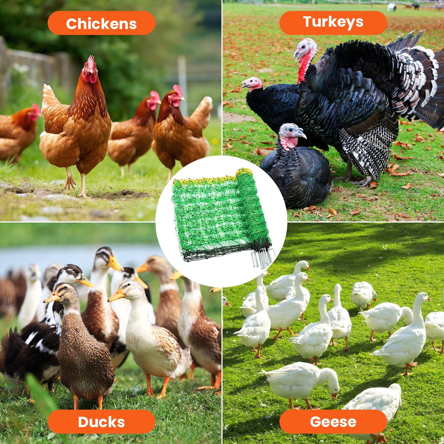 Electric Poultry Netting, 47.2" H x 164'L Electric Chicken Fence for Chickens, Ducks,Turkeys, Sheep, Geese, Portable Poultry Nets Fence kit for the Yard,Backyards,Farms,Ranches, Energizer Not Included