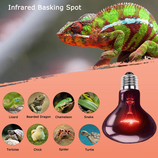 HARTOMPET 60W Infrared Red Heat Lamp – Basking Spot Bulb for Reptiles, Bearded Dragons, Chameleons, Snakes & Lizards; Ideal Red Heat Emitter for Chickens Coop and Brooder Use, E26 Base | 2 Pack