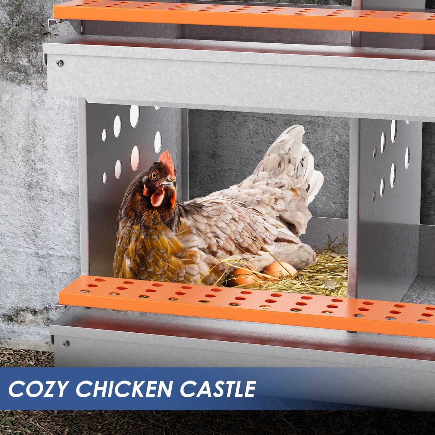 Chicken Nesting Box, 6 Compartment Metal Nesting Boxes for Chickens Laying Eggs, Rust Proofed Nest Box with Roll Away Egg Collection Laying Box for Chicken Coop