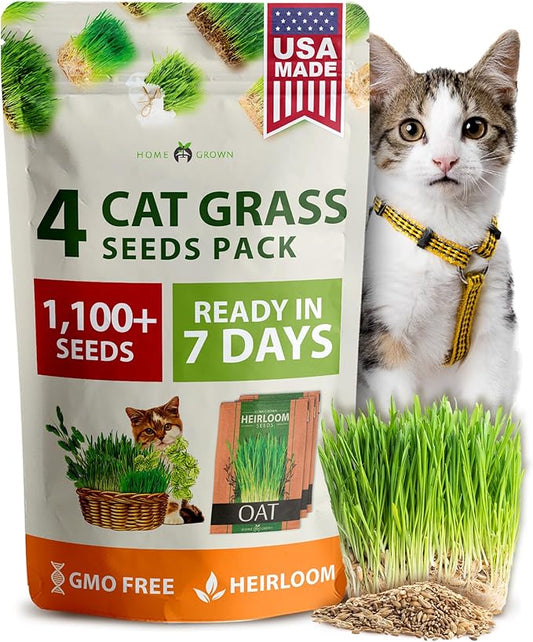 HOME GROWN Cat Grass Seed Mix – Non-GMO Oat, Alfalfa, Rye & Wheat Seeds for Cats | Indoor Pet Grass with Fast Germination | Digestive Aid, Hairball Relief & Safe Chew Alternative