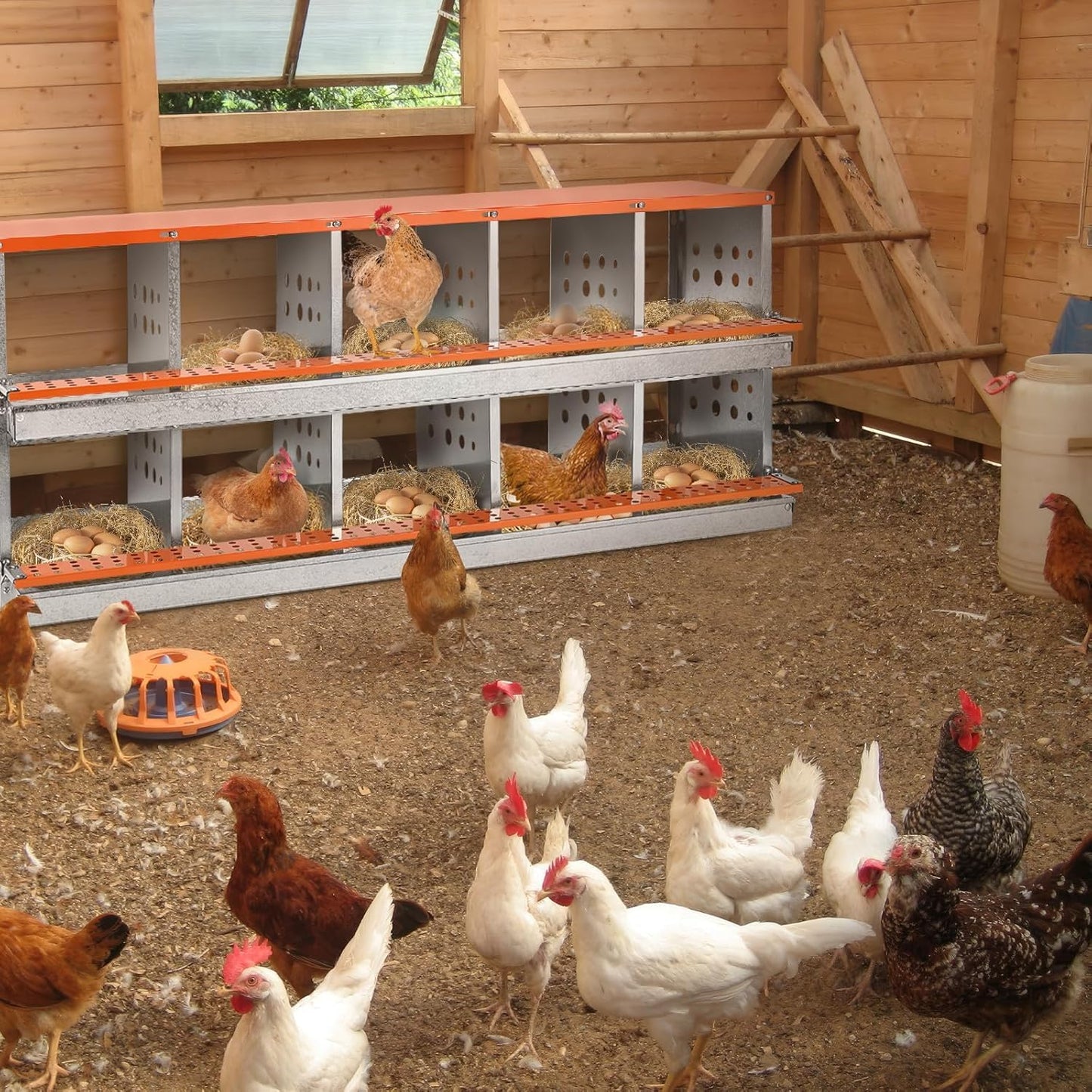 FuzzlyCo Chicken Nesting Box, 10 Compartment Nesting Boxes for Chicken Laying Eggs, Metal Chicken Laying Boxes with Roll Away Egg Collection, Heavy Duty Chicken Coop Nest Box