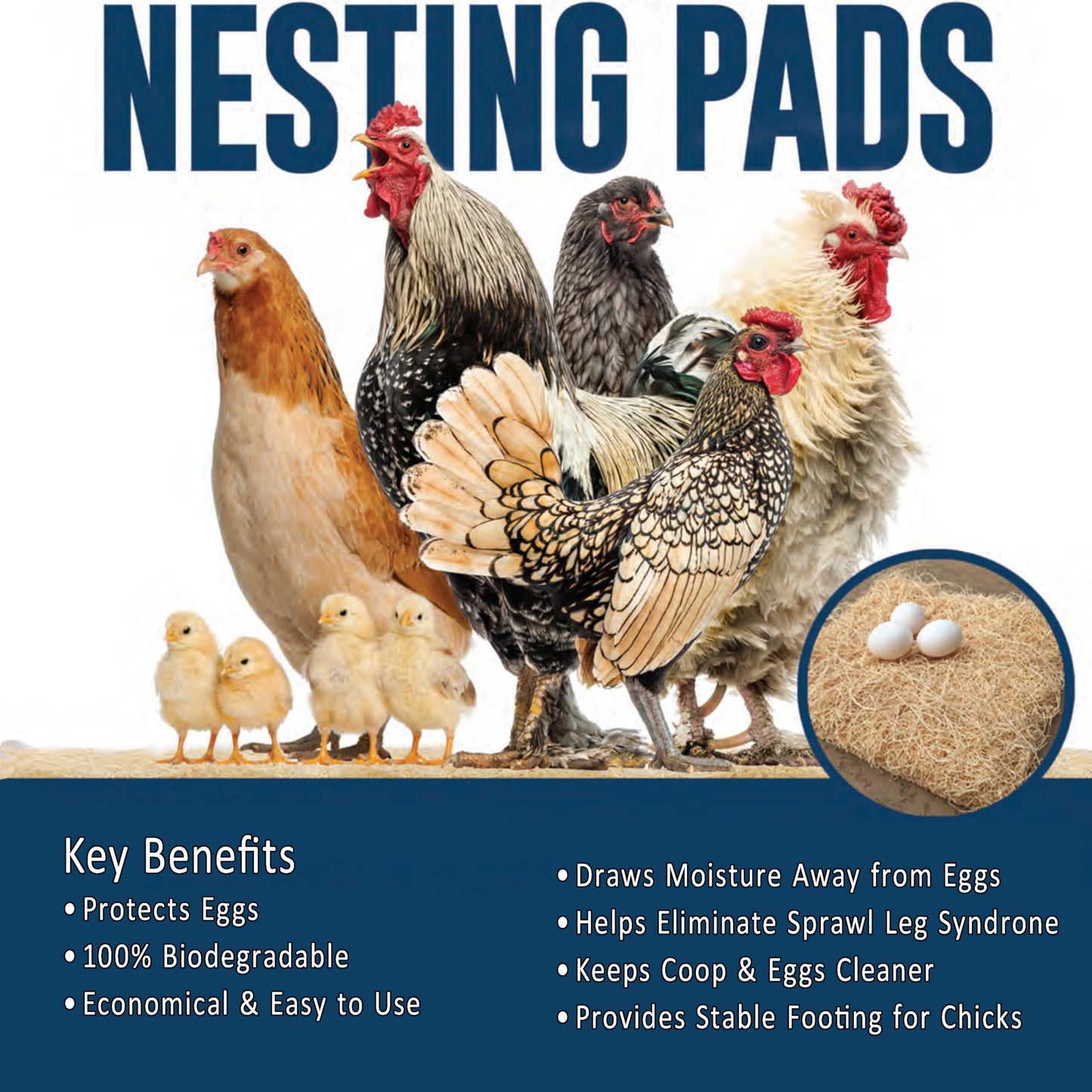 Nesting Pads for Chicken Coop Accessories - 12 Pack - Aspen Bedding for Chicken Nesting Box Rabbit Hutch - Organic Chicken Supplies