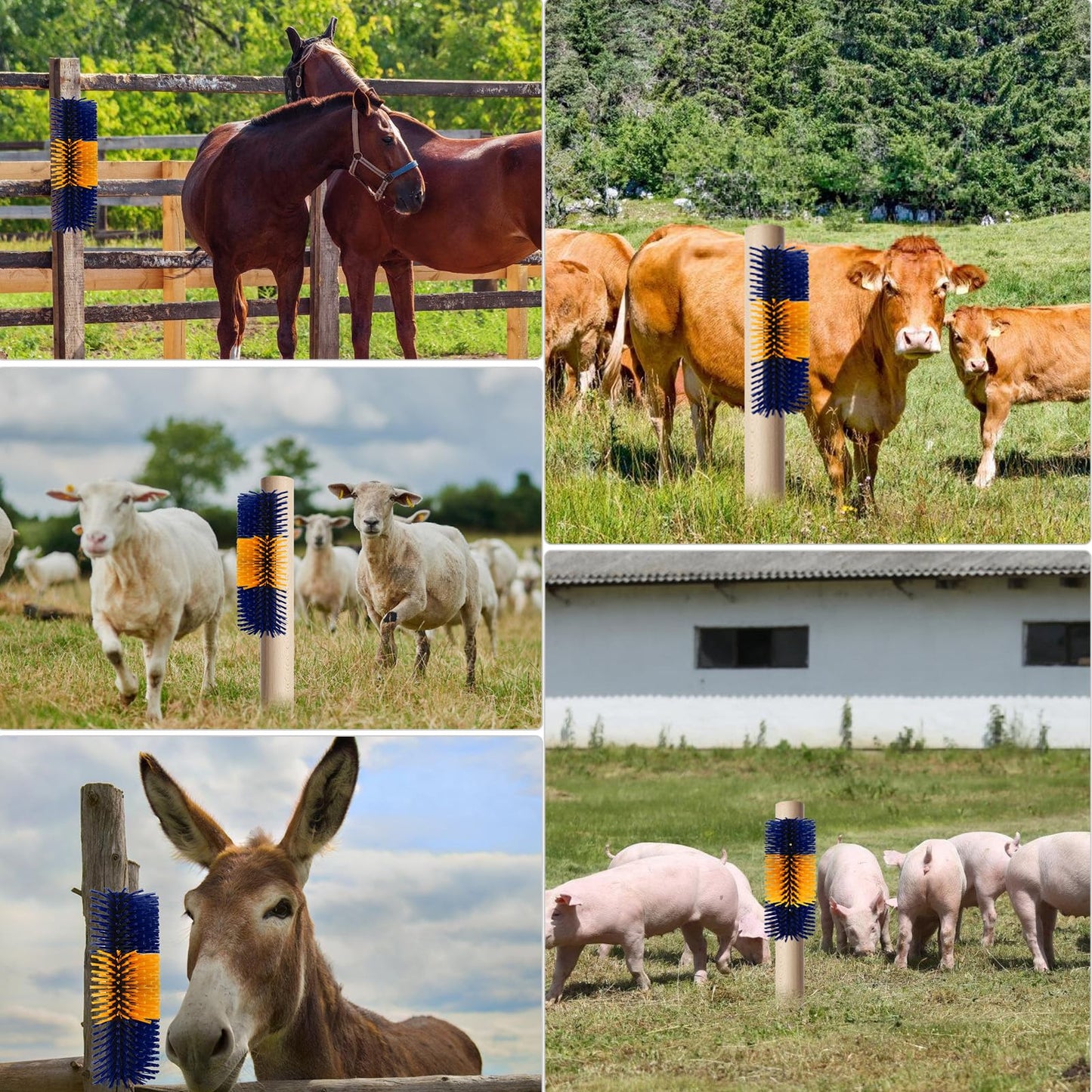 Livestock Scratching Brush, Flexible PBT Horse Grooming Kit Horse Brushes, Massage Brush Kit for Cattle, Cow, Sheep, Horses Goat Supplies (Yellow-Blue, 2 pack)