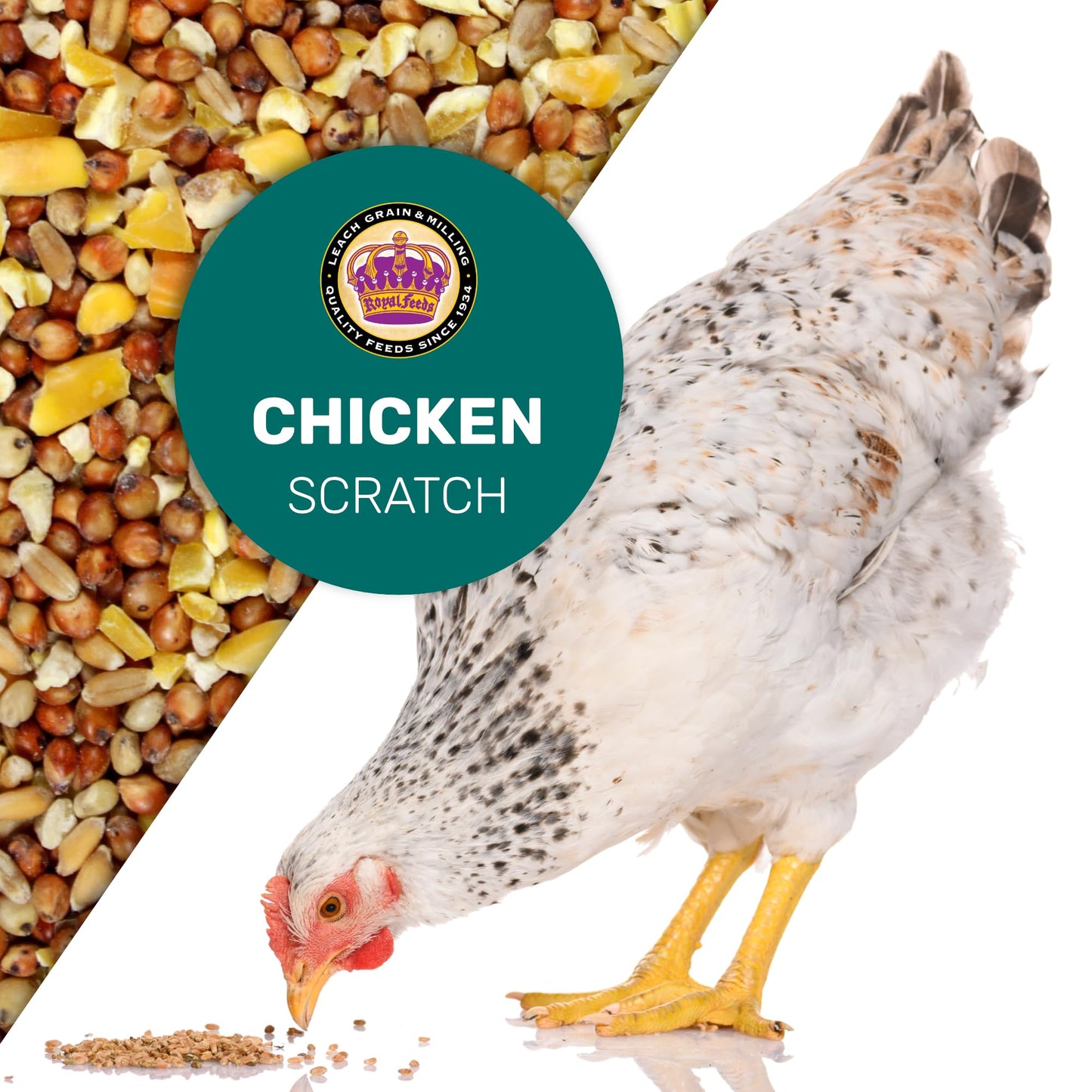 LEACH GRAIN & MILLING CO. Chicken Scratch 5 Lbs, Chicken Feed - High Protein and Fiber - Healthy Whole Grains - Supports Energy & Digestive Health, Natural Food and Supplies for Poultry