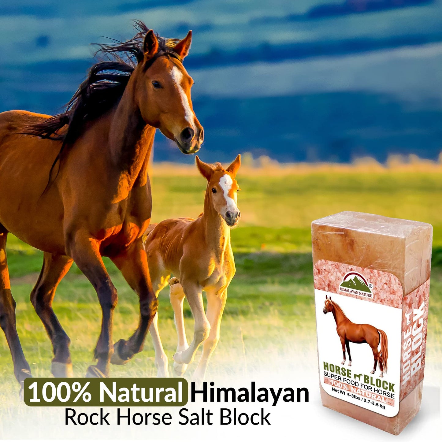 Himalayan Nature Horse Licking Salt, Animal Licking Mineral Salt Brick - 5 Lbs