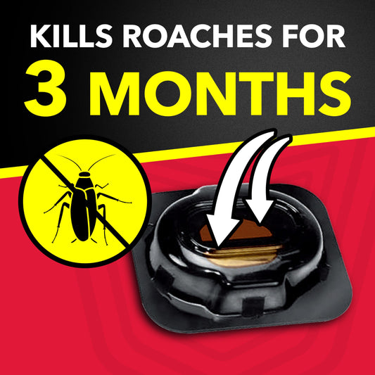 Raid Double Control Small Roach Baits, Child Resistant, For Indoor Use, Kills Roaches for 3 Months, 12 Count