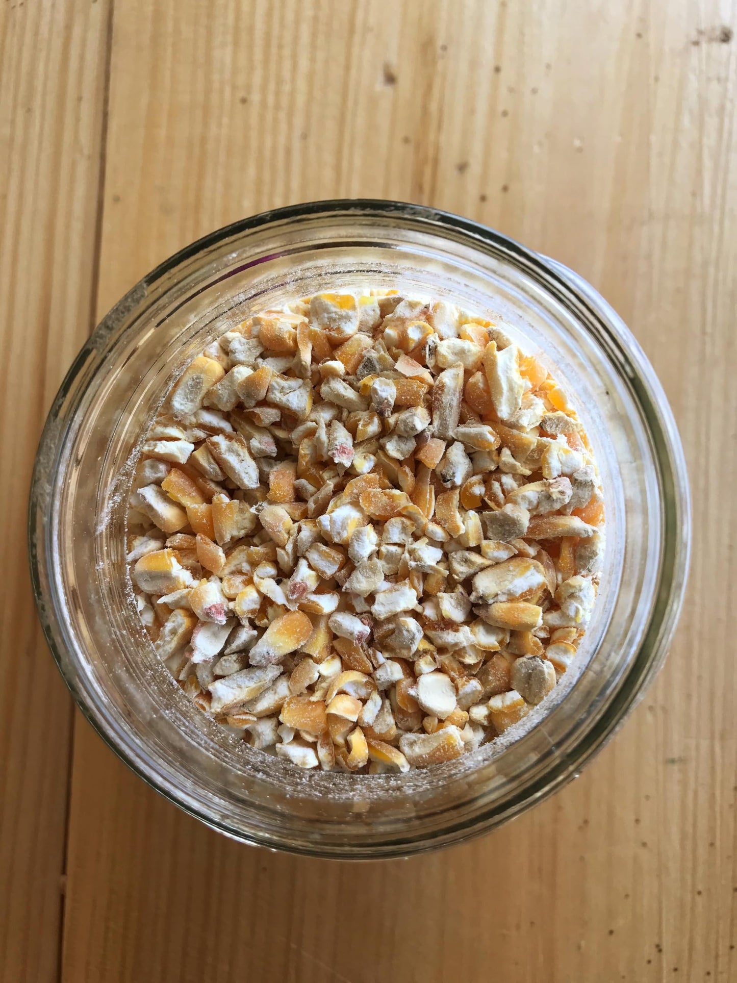 Ernst Grain Cracked Corn, Non-GMO – Perfect Feed for Ducks, Squirrels, Chickens, Ducks, Deer, Rabbits, Geese, and More! (10 lb)