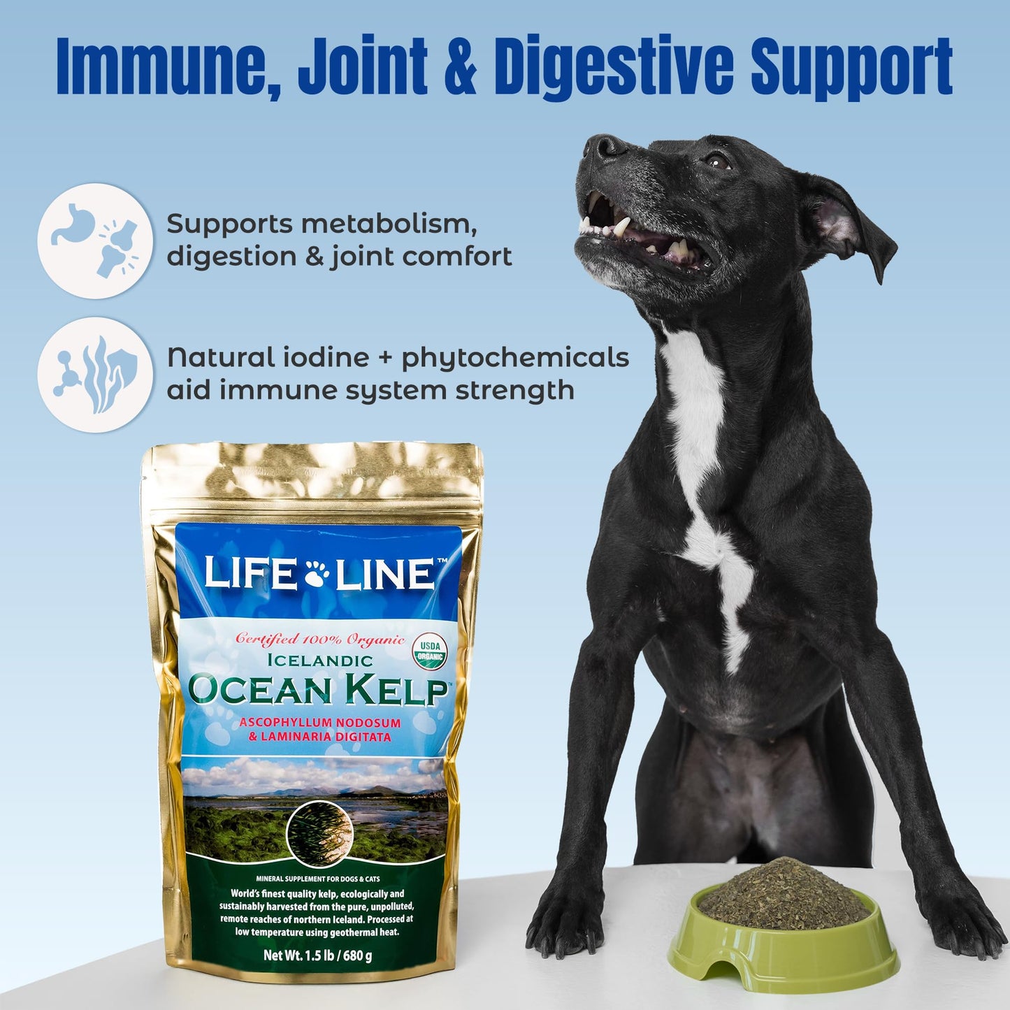 Life Line Organic Ocean Kelp Supplement for Dogs, Cats, Horses & Livestock | Natural Source of Iodine for Skin, Shiny Coat & Immune Support | Helps Reduce Tartar, Shedding & Aids Digestion – 1.5 lb
