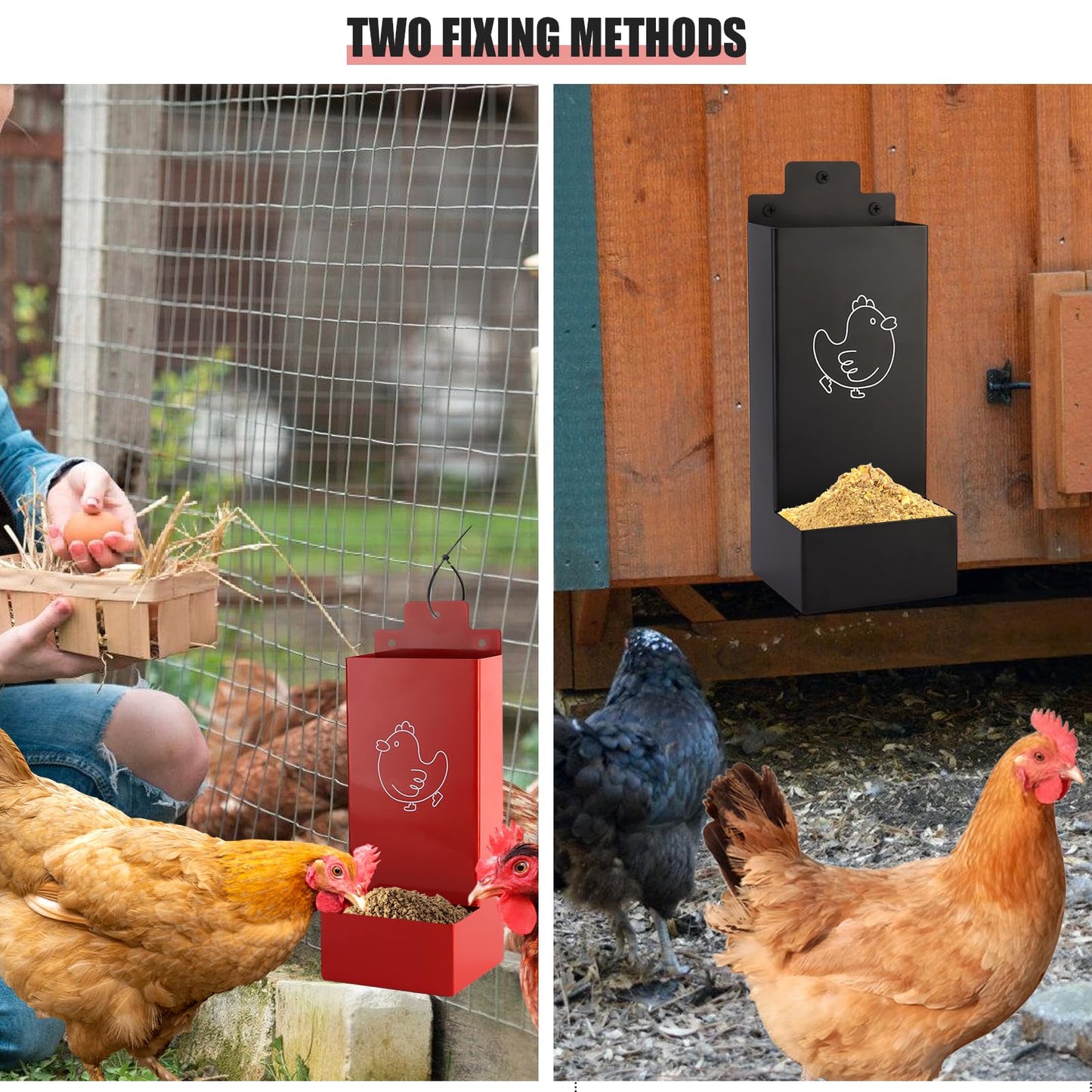 Automatic Chicken Grit Feeder,2 Pack Metal Hanging Chicken and Poultry Feeder,No-Waste Design,Easy to Install and Clean,Ideal for 5-6 Chickens