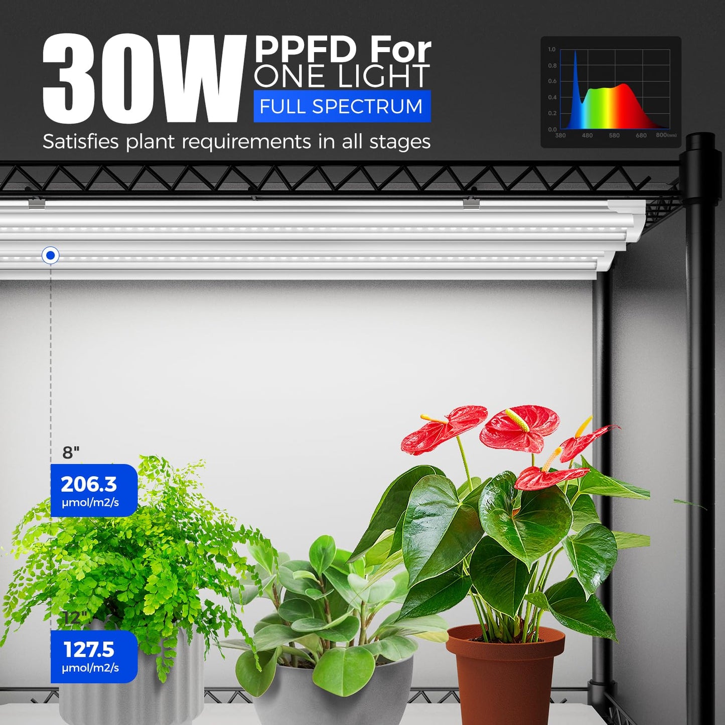Barrina CX5Z Indoor Greenhouse with Grow Light, 6PCS 30W per Light Full Spectrum T8 Plant Lights, 4-Tier Portable Metal Plant Stand Tent and Thermometer for Seed Starting, 35.4x13.8x59IN