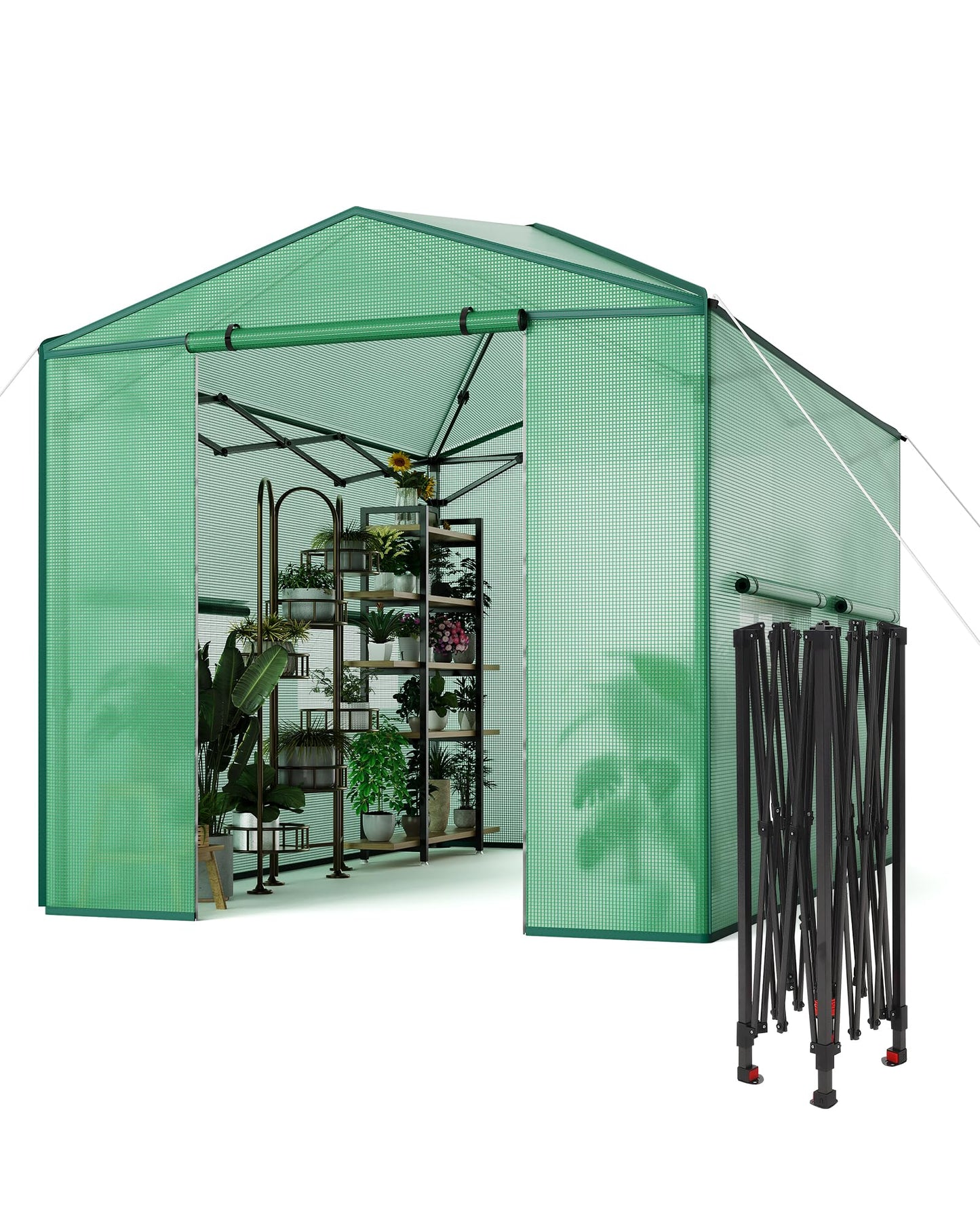8X12 FT Portable Greenhouse for Outdoor,243 x 365 CM Wall in Pop Up Greenhouse for Gardening Plant, Zipper Roll Up Door & 4 Mesh Window, Double Frame, PE Cover Grow Tent for Winter, Green