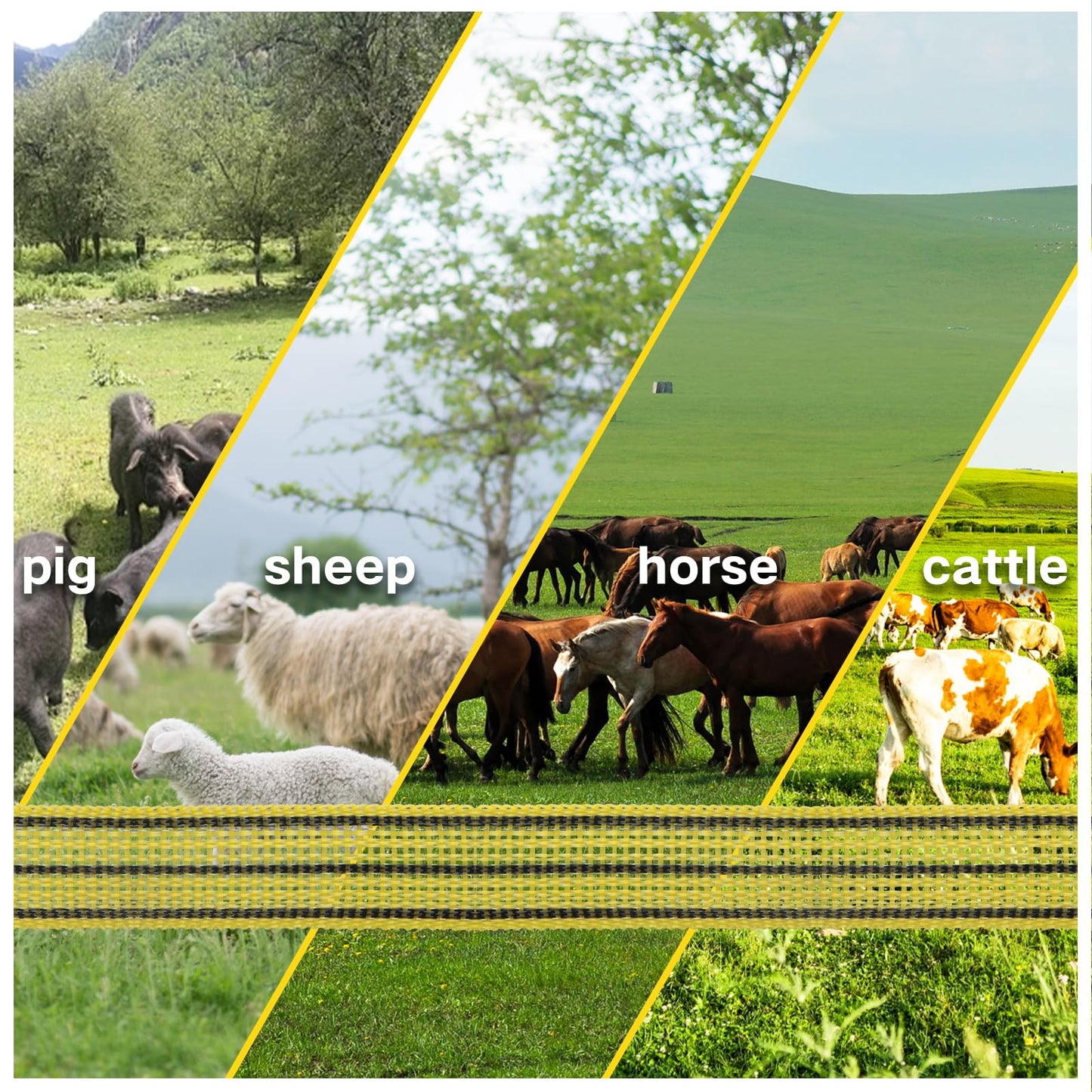 LIFENCE Electric Fence PolyTape Horse Fencing Tape 1312 Feet 400m, High Visibility 0.8 Inch 20mm Width, 6 Strong Stainless Steel Conductors, Yellow and Black, Equine Horse Livestock Electric Fencing