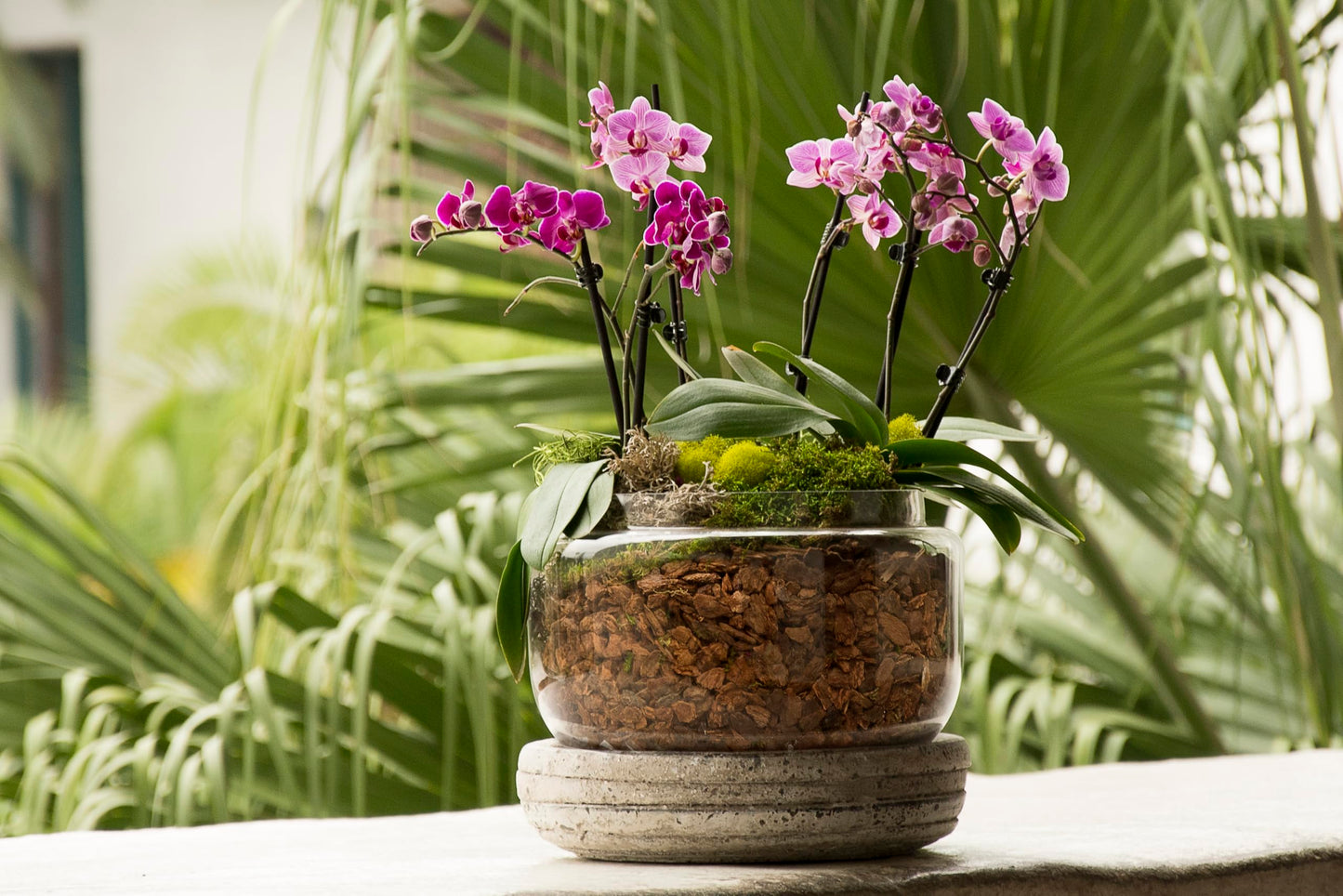 SuperMoss (23112) Orchid Potting Bark, 100% Natural Douglas Fir Bark, 3/4", 2 Cu. Ft.