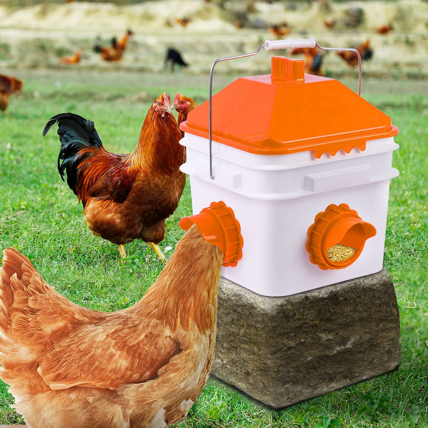 GUEOQTC-10 Pounds Chicken Feeder with 4 Ports, Rainproof Poultry Feeder for Up to 10 Adult Chickens or 15 Chicks（Patented Products）