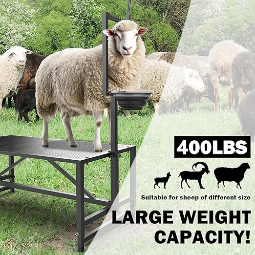 Goat Milking Stand with Feed Bin, Stand for Goat Milk and Shepp Trimming Hooves, with Adjustable Head Piece and Legs, Metal Black Use for Small Goat and Sheep, 400 Lbs