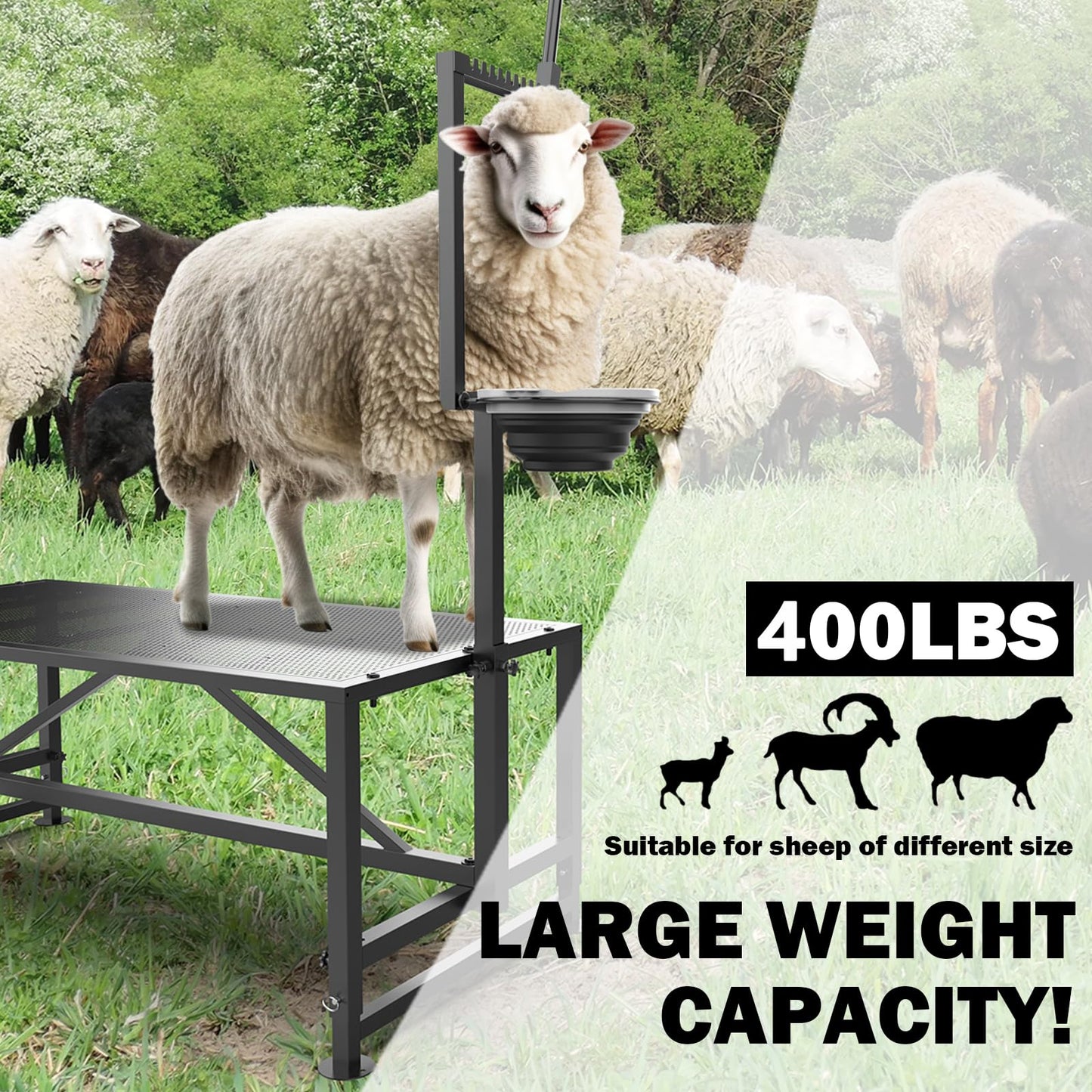 Larrik Goat Milking Stand with Feed Bin, Stand for Goat Milk and Shepp Trimming Hooves, with Adjustable Head Piece and Legs, Metal Black Use for Small Goat and Sheep, 400 Lbs
