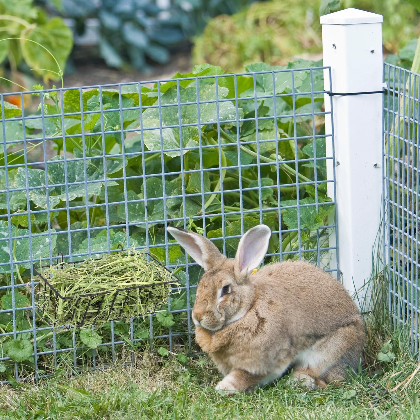 Voittozege 4 Pcs Rabbit Hay Feeder, Heavy Duty Metal Rabbit Hay Rack with Hooks Small Animal Cage Accessories Bunny Hay Feeder Holder Pet Grass Rack for Guinea Pig Chinchillas