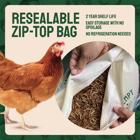 Hatortempt Chicken Feed Dried Mealworms - 5 Lb, Non-GMO & Organic - High-Protein Mealworms for Wild Birds & Ducks, Chicken Treats & Bird Food