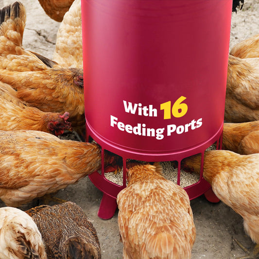 Solution4Patio 65 LB Large Free Standing Chicken Feeding Barrel, Portable Gravity Chicken Feeder Automatic, Dispenser, 16 Feeding Ports Poultry Feeder, Hen Coop (Red)