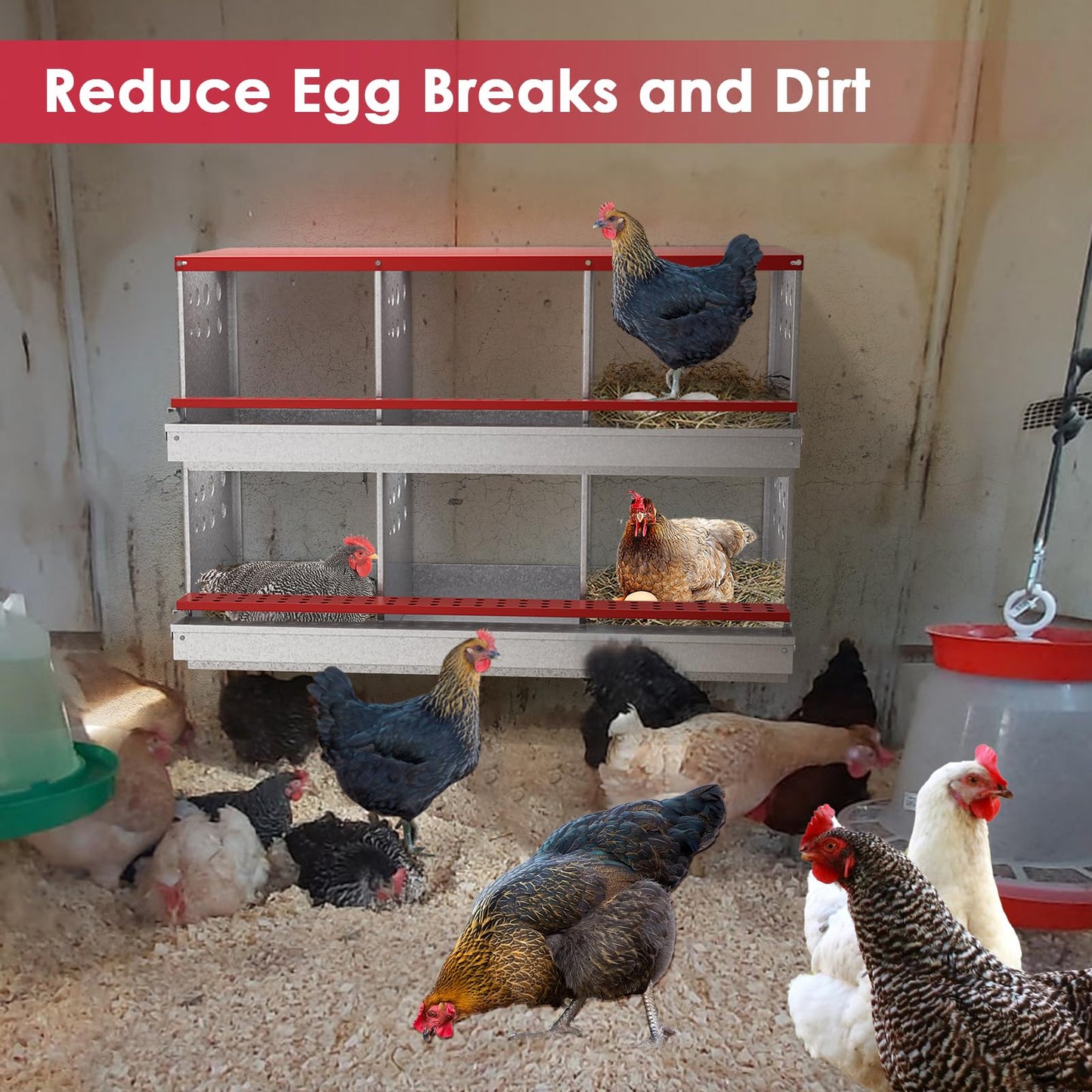 FuzzlyCo Chicken Nesting Boxes, 6 Hole Nesting Box for Chickens with Easy Egg Collection Roll Away Heavy Duty Chicken Coop Laying Box for Hens