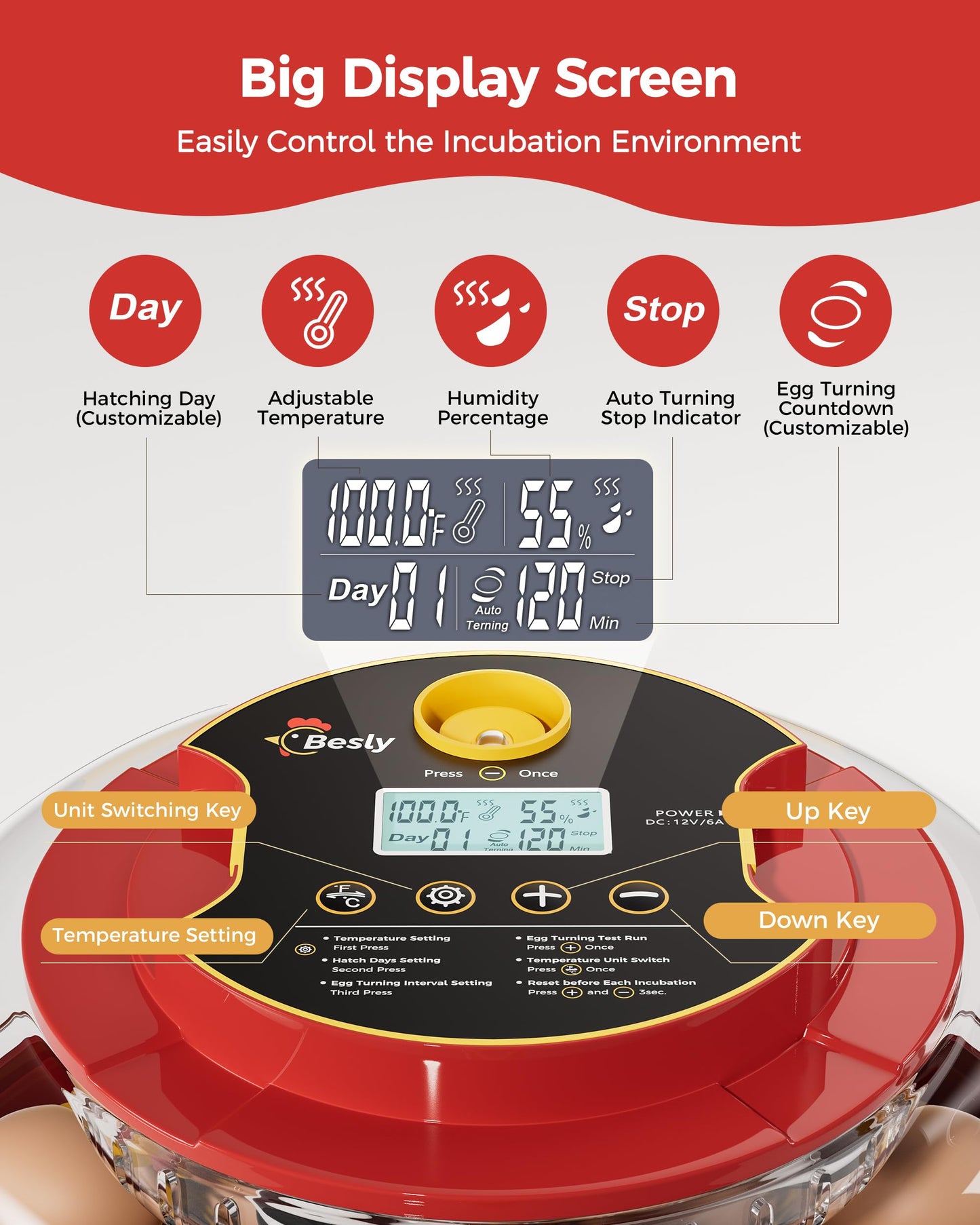 18 Egg Incubator with Automatic Egg Turning and Humidity Control, 360° Viewing, Dual Size Egg Trays for Chicken, Duck, Goose, Turkey, Quail, and Parrot Eggs, Ideal for Farm, Classroom, Home Use